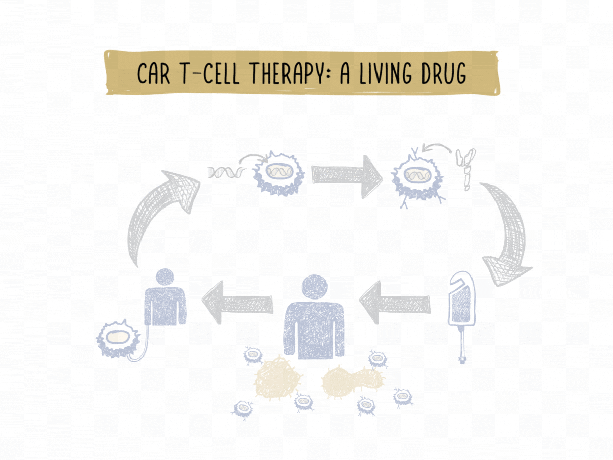 Car T-cell therapy illustration