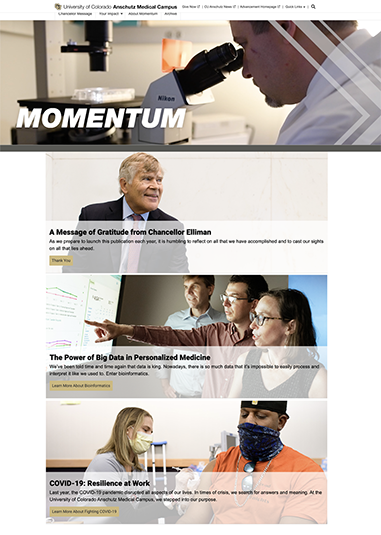 Thumbnail of 2021 Momentum microsite