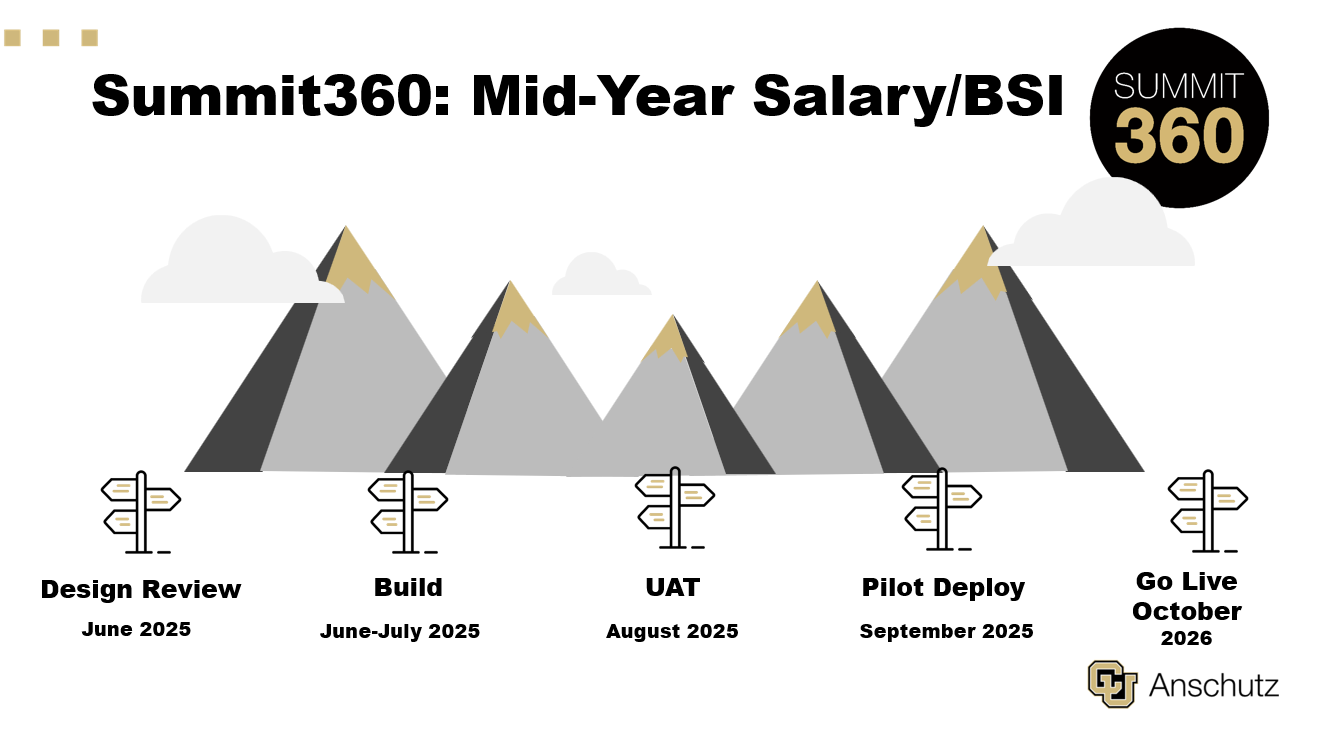 Summit360 Mid-Year Salary Timeline