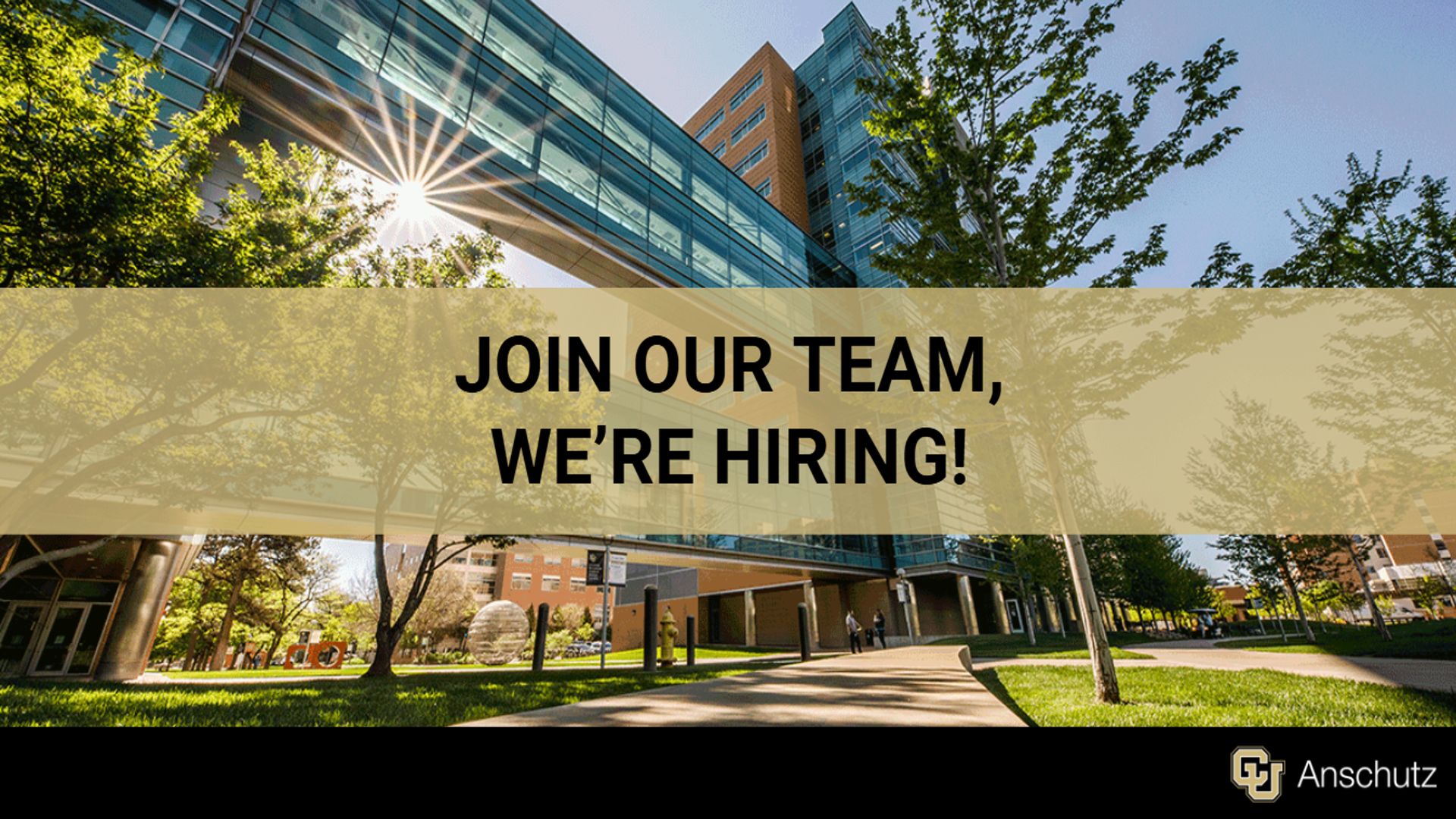 Join Our Team We're Hiring