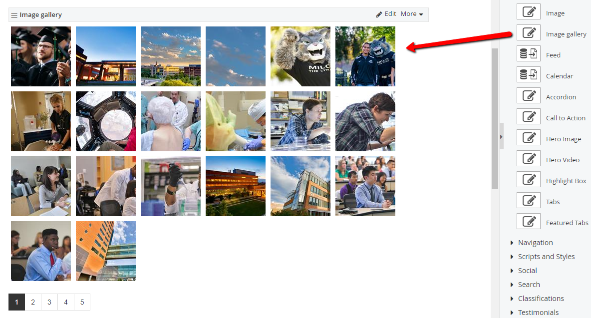 Dragging image gallery widget to content area Dragging image gallery widget to content area