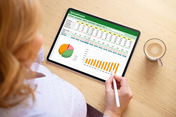 image of woman working on a spreadsheet on her ipad