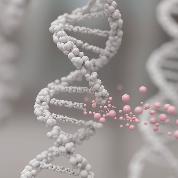 dna piece