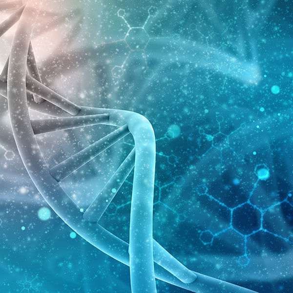 dna cell lines