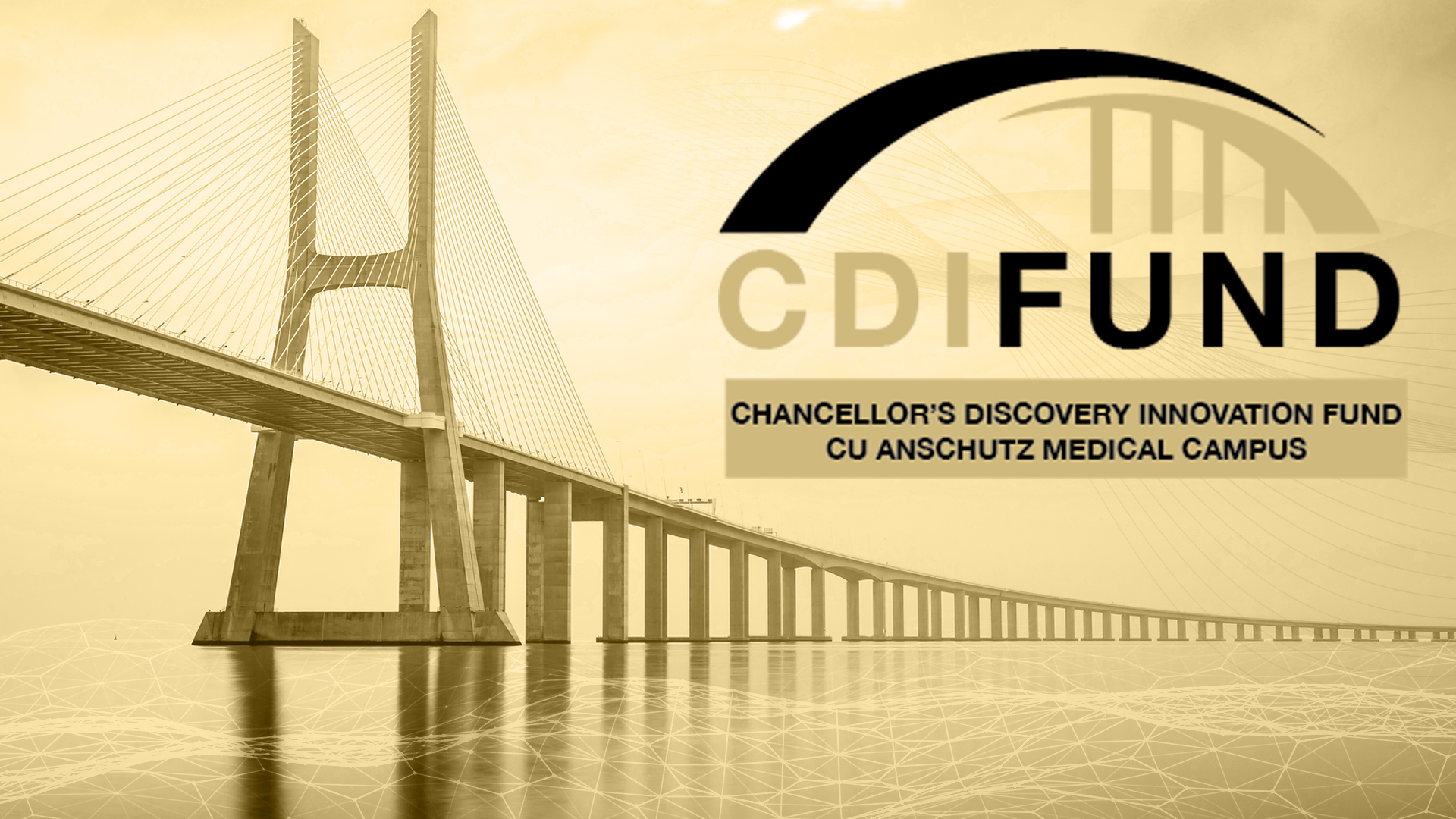 Chancellor Discovery Innovation Fund Logo