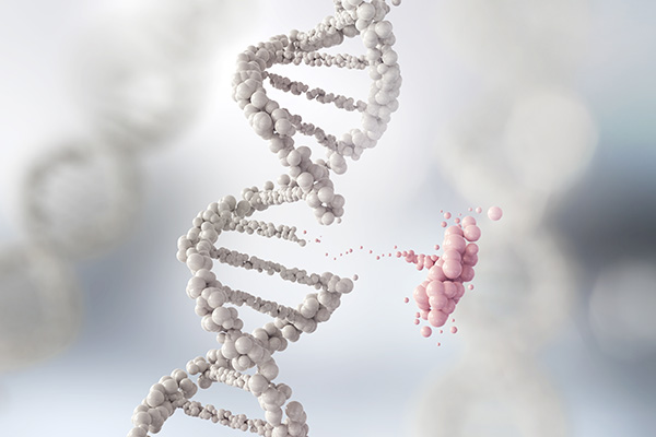 molecular piece from dna