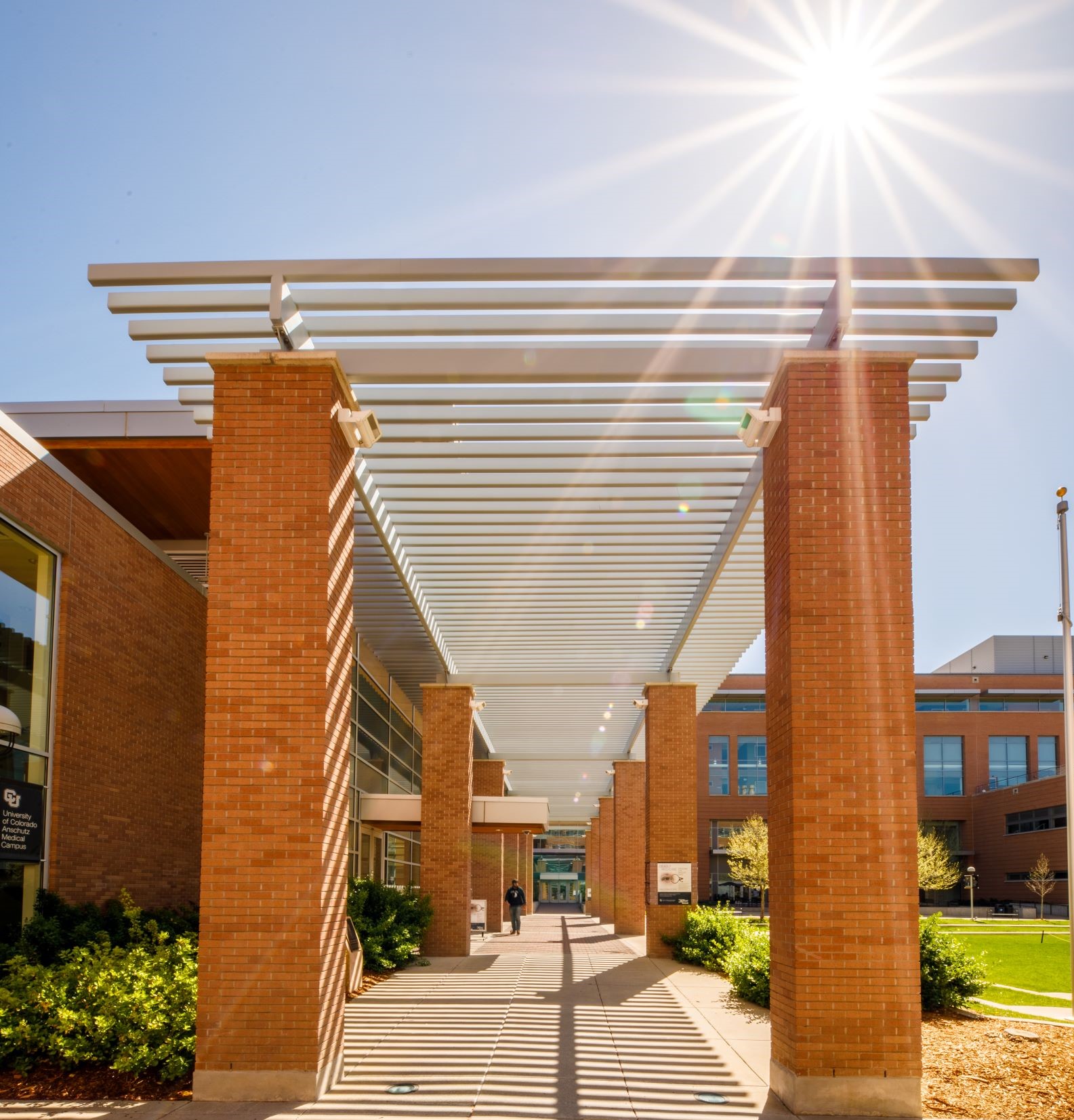 CUA_campus_018_145_fulginiti walkway