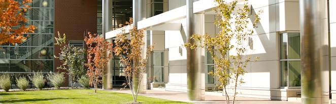 Trees and a building on a sunny day