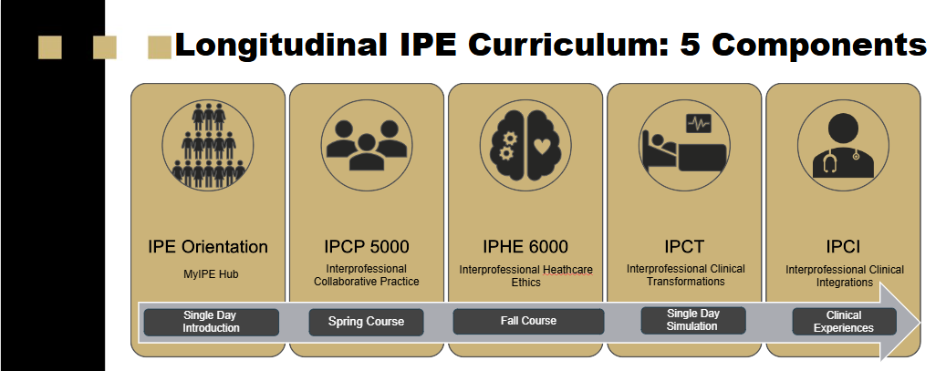 Longitudinal IPE Curriculum Graphic