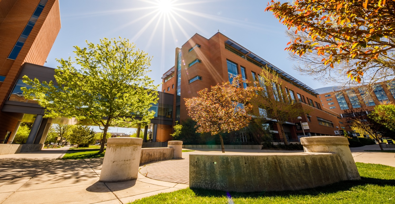 Education 2 South building exterior in the sunshine