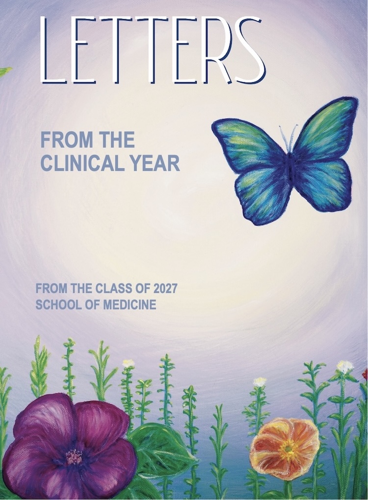 Letters to a Clerkship Student 2027
