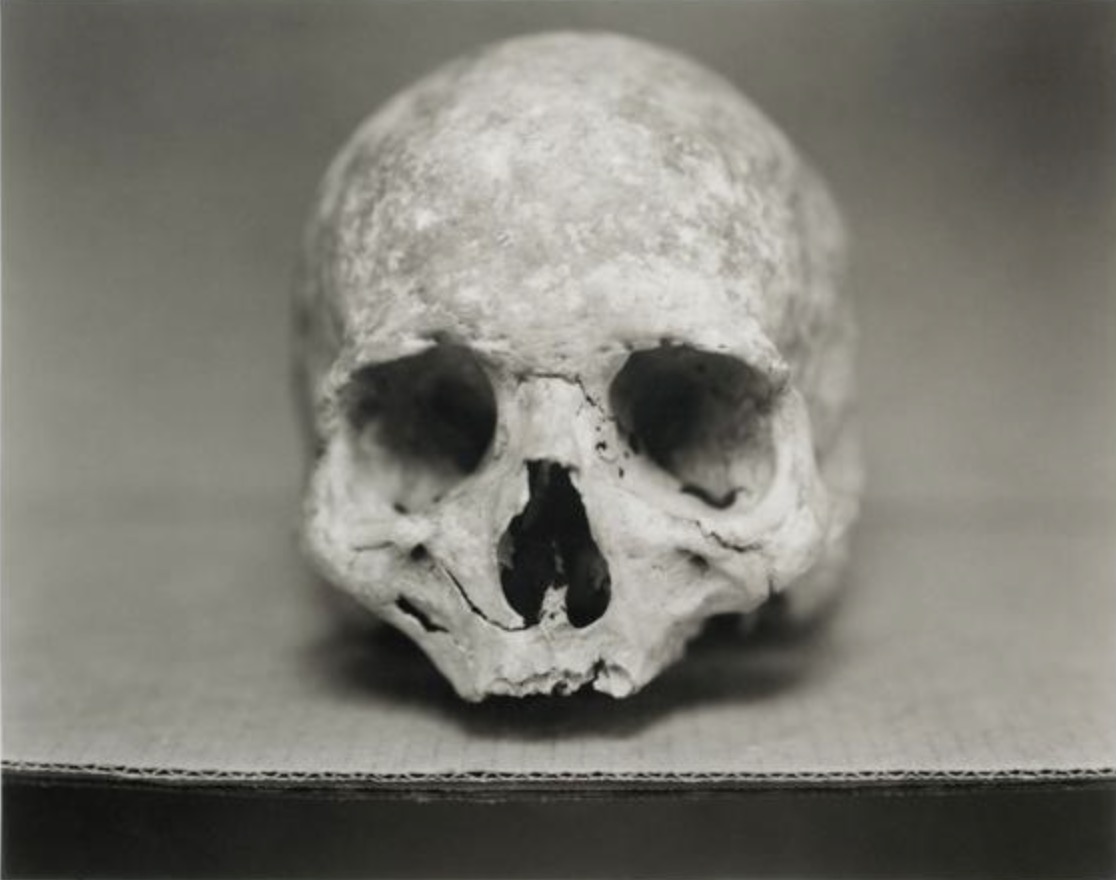 Human Being-Andrea Modica photograph