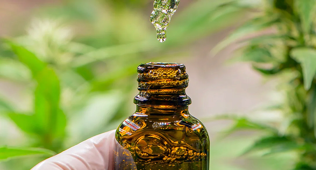 Cannabis oil and plants