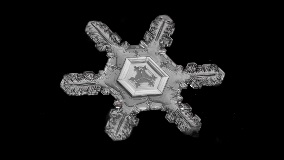 Jason Persoff snowflake