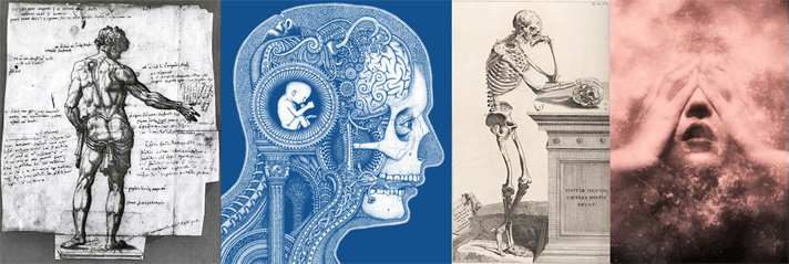 Collage of illustrations