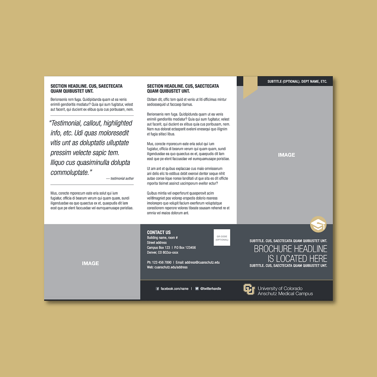 Brochure