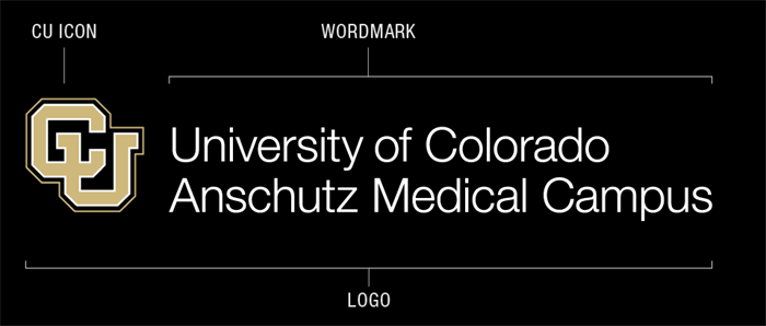 Logo Anatomy