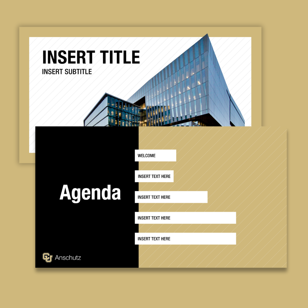 Canva Presentation Template Example