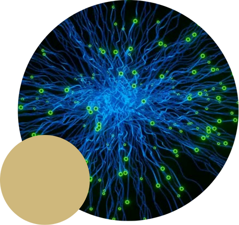 Artificial Intelligence Icon