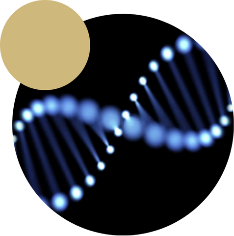Big Data & Bioinformatics