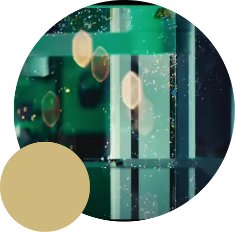 Big Data & Bioinformatics