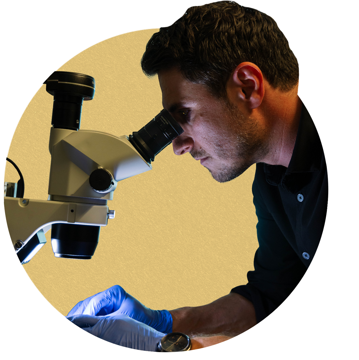 Man sitting at a microscope