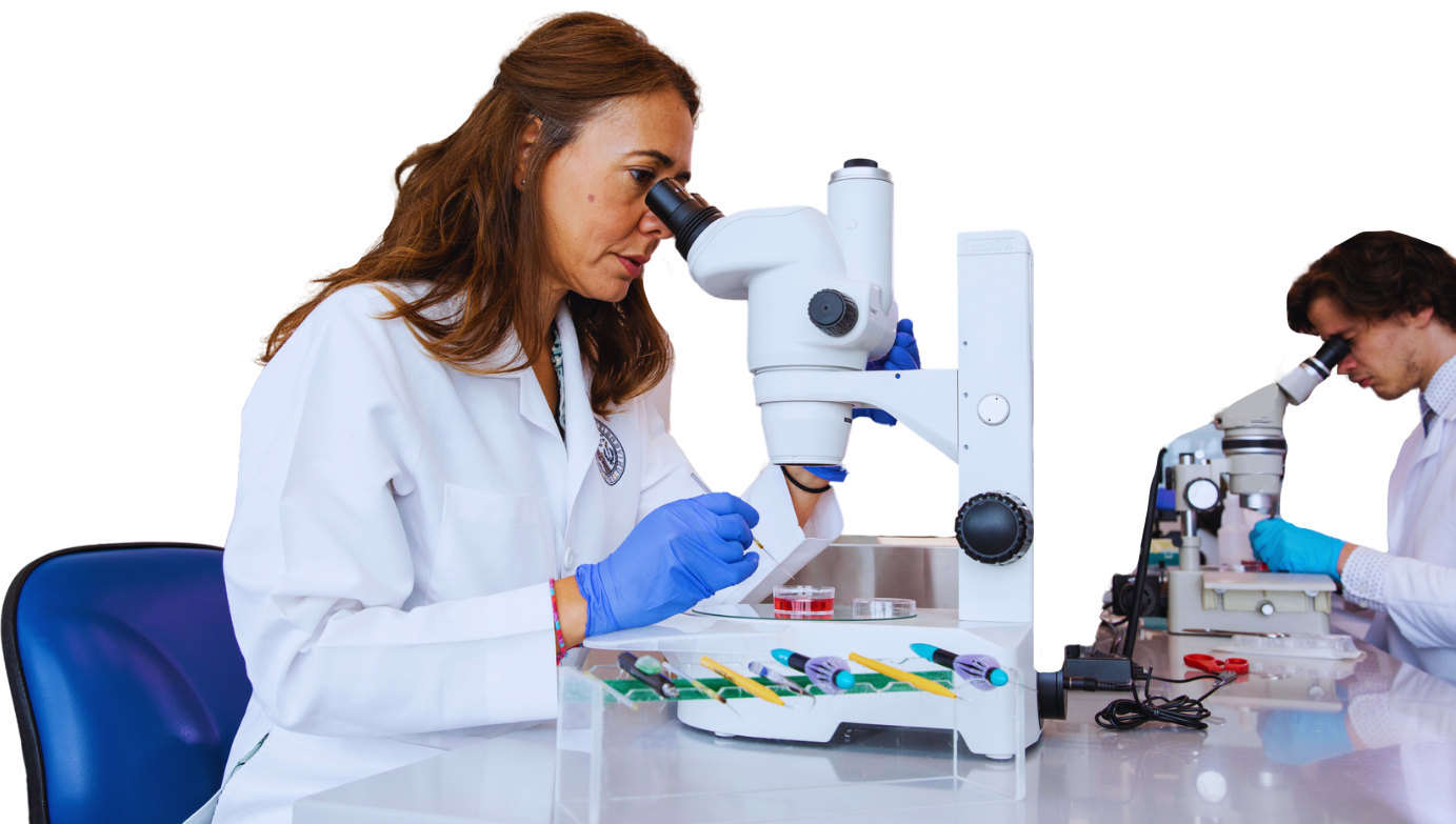 two researchers in lab coats looking at a sample under a microscope