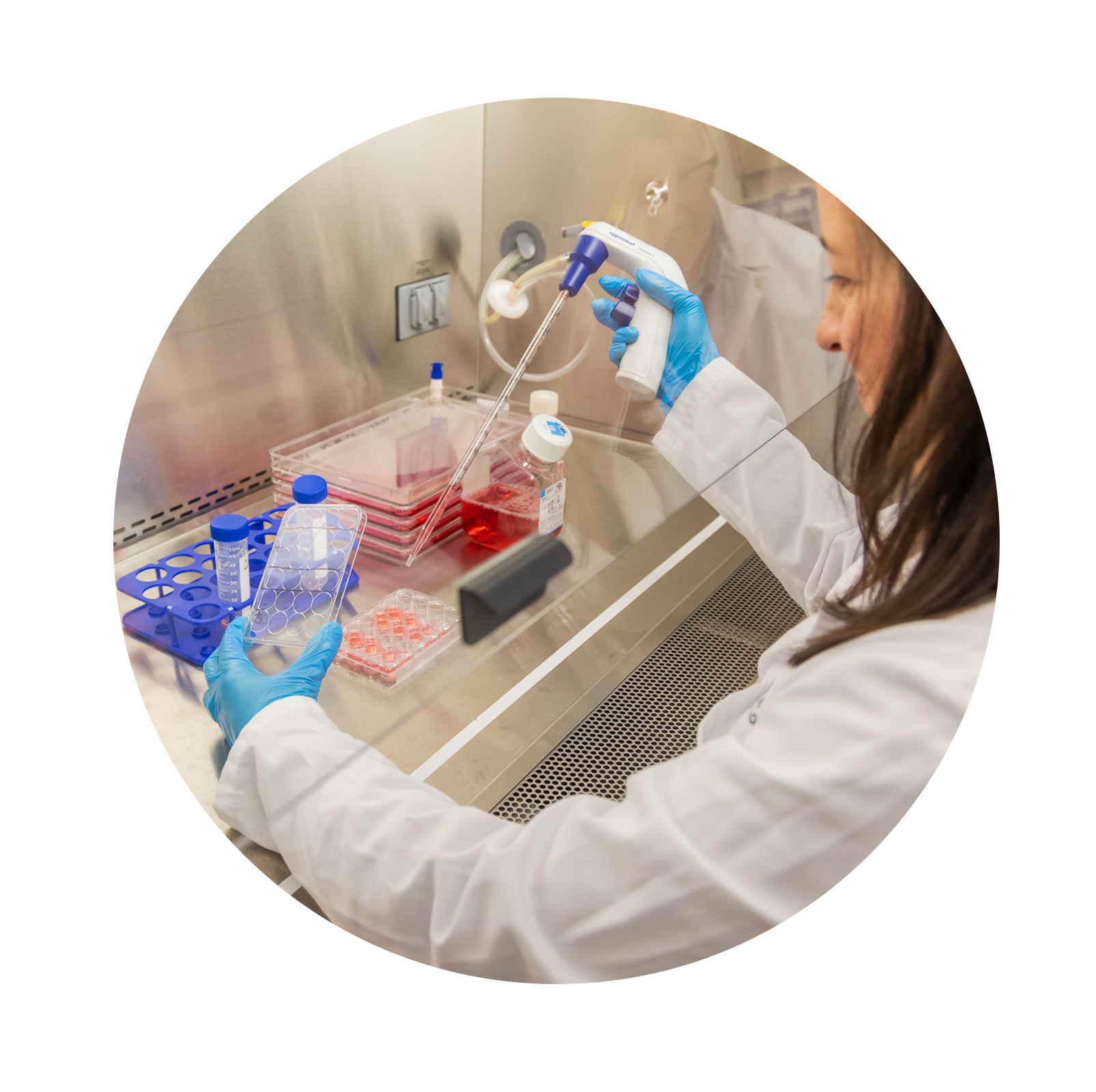 Research in a lab