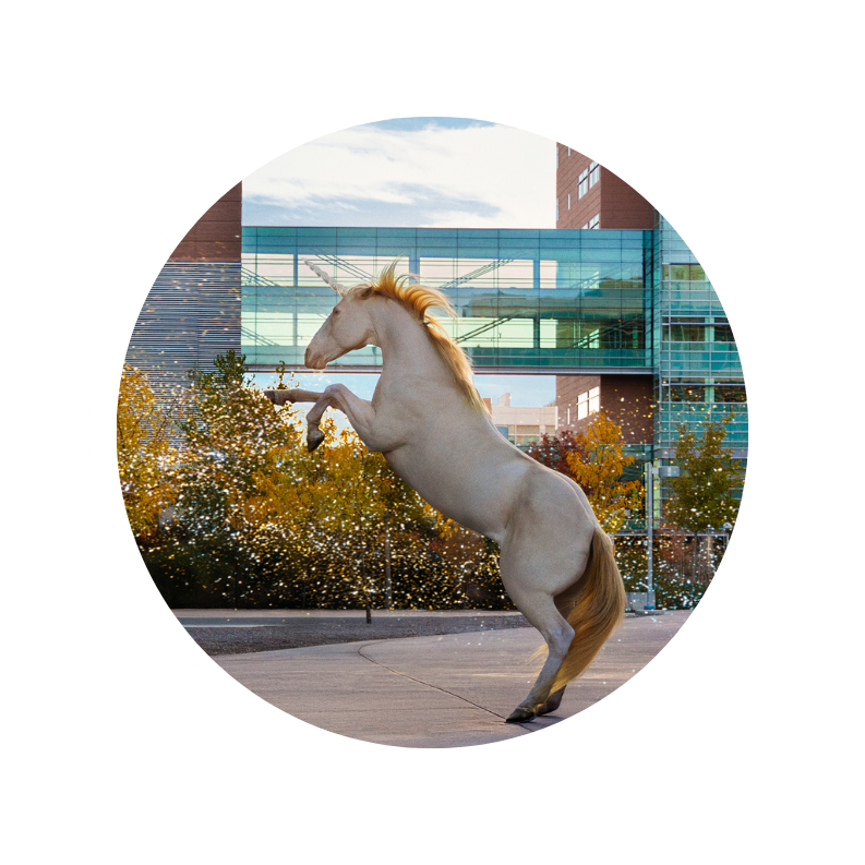 Where Dreams Live Thumbnail