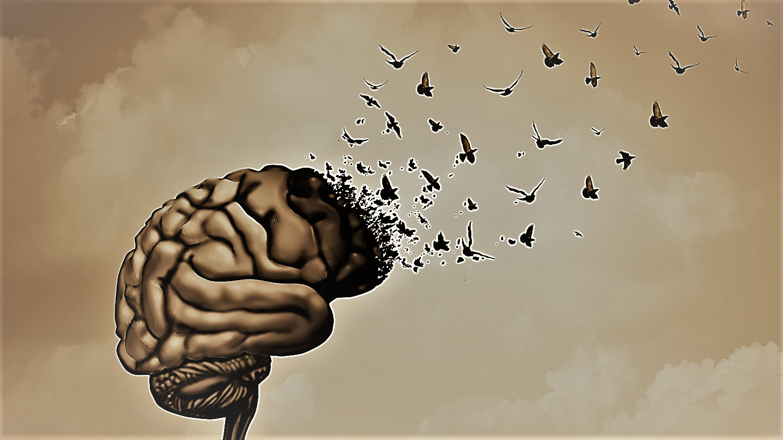 Brain with birds flying out of it