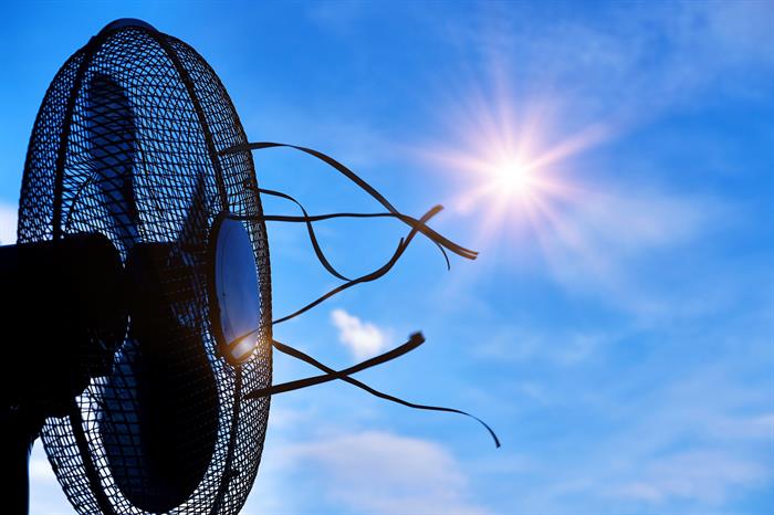 Fan blowing in the heat