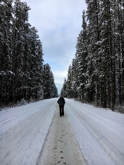 Person walking down snowy road