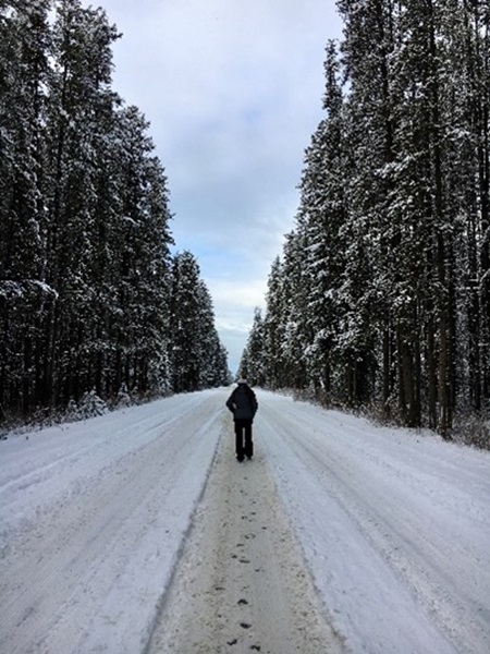 Person walking down snowy road Person walking down snowy road