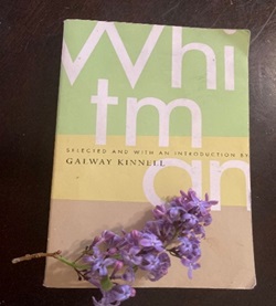 Photo of Whitman Book Cover