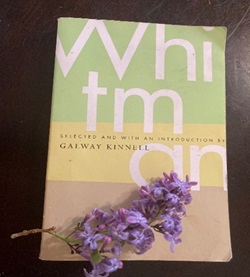 Photo of Whitman Book Cover Photo of Whitman Book Cover