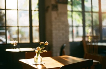 Vase of Flowers on Table