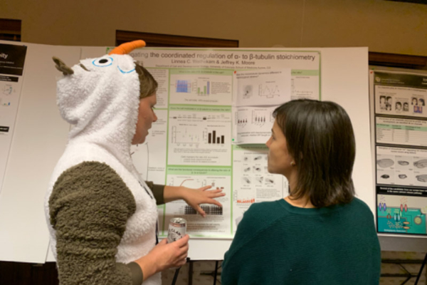 Retreat costume poster session 2019