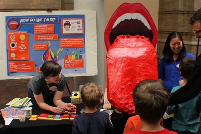 Denver Museum of Nature and Science Demo