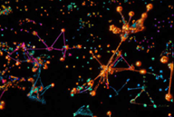 Computational Biology Computational Biology