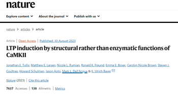 LTP induction by structural rather than enzymatic functions of CaMKII
