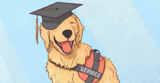 Drawing of service dog wearing graduation cap