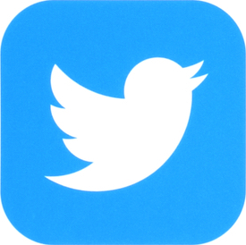 Twitter Logo