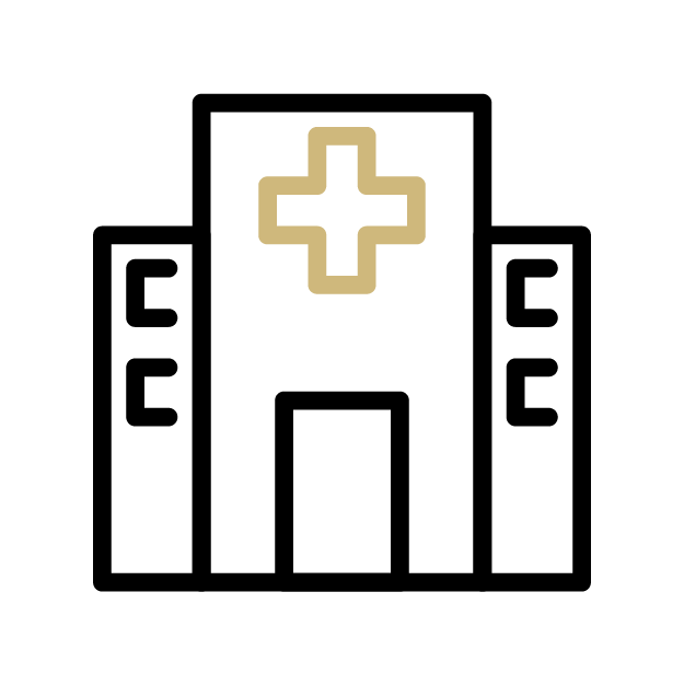 icon image of a hospital