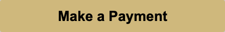 make a payment button