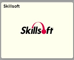 Skillsoft image