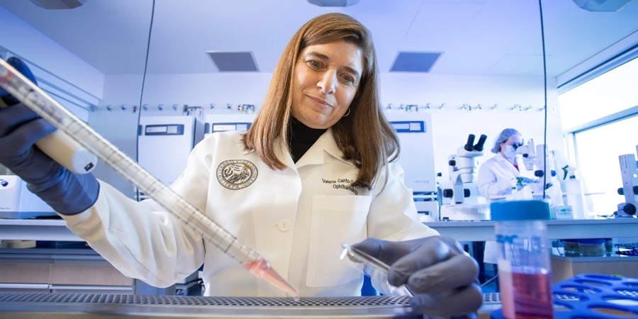 A scientist  uses a pipette during an experiment in a modern laboratory setting.
