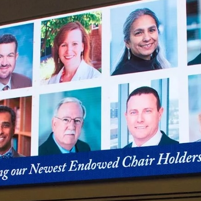 Endowed Chair Celebration thumbnail A group of endowed chair holders on a screen