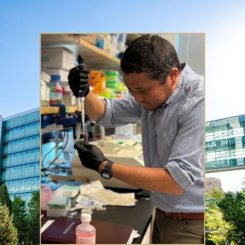Cancer researcher working in a lab