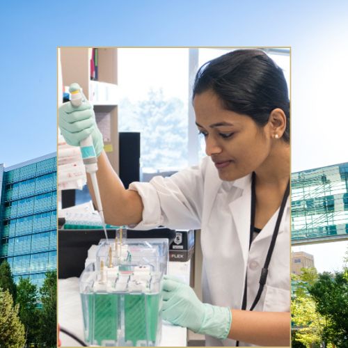 Researcher uses a pipette while working with laboratory equipment.