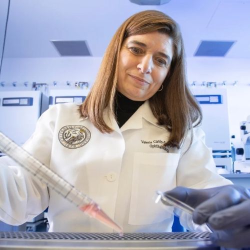 SOC Article Thumbnail Ophthalmology Gift Announcement Ophthalmology researcher wearing white lab coat conducts an experiment using a dropper.